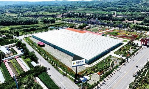 黃土地綻放美麗經(jīng)濟 臨夏百益現(xiàn)代農(nóng)業(yè)科技有限責任公司技術開發(fā)側記