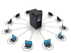 計算機網絡的分類概覽